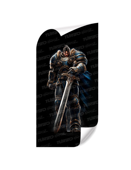 Sticker for car pillar Garen | TurboWrapz.com