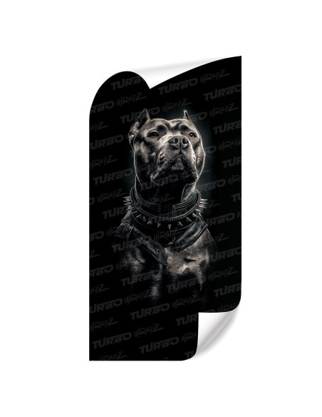 Sticker for car pillar Pitbull | TurboWrapz.com