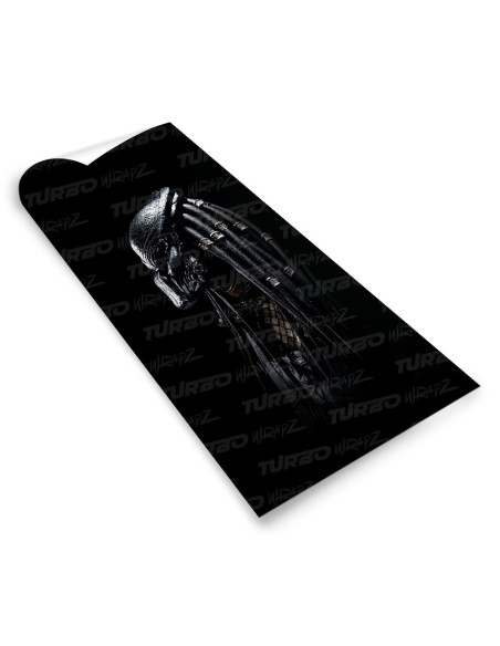 Sticker for car pillar Predator | TurboWrapz.com